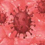 Uttarakhand Coronavirus Update 26 April : आज प्रदेश में 16 कोरोना के मामले आए एवं दो मरीज स्वस्थ हुए।