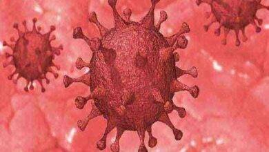 Uttarakhand Coronavirus Update 26 April : आज प्रदेश में 16 कोरोना के मामले आए एवं दो मरीज स्वस्थ हुए।