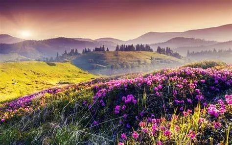 Valley of Flowers in Uttarakhand :- प्रकृति के इस गुलदस्ते के बारे में और जानें ?