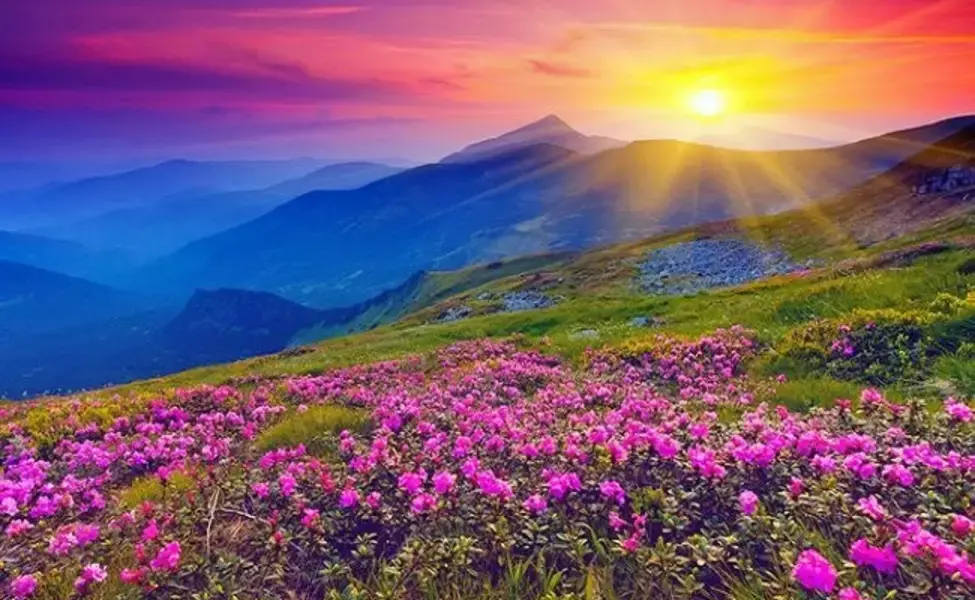 Valley of Flowers in Uttarakhand :- प्रकृति के इस गुलदस्ते के बारे में और जानें ?