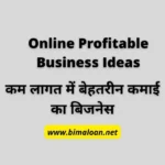 Online Profitable Business Ideas : कम लागत में बेहतरीन कमाई का बिजनेस.