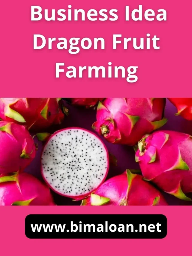 Small Business Idea Dragon Fruit Farming से कितनी कमाई हो सकती है ?