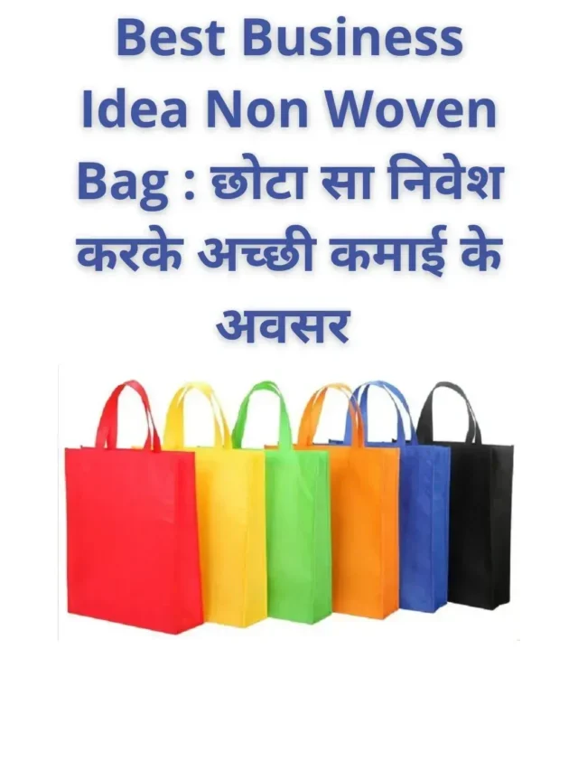 Best Business Idea Non Woven Bag कितनी कमाई की संभावनाएं हैं  ?