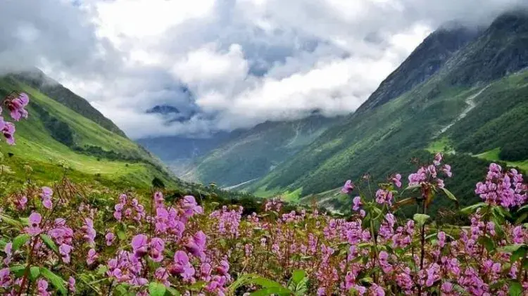 Garhwal Region Destination  Valley of Flowers (फूलों की घाटी).