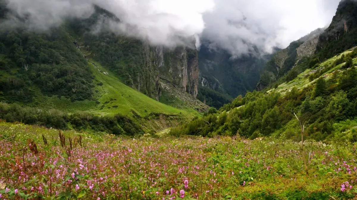 Planning To Visit Uttarakhand’s Valley Of Flowers