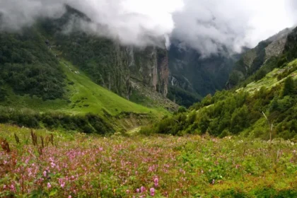 Valley Of Flowers Uttarakhand UNESCO Heritage