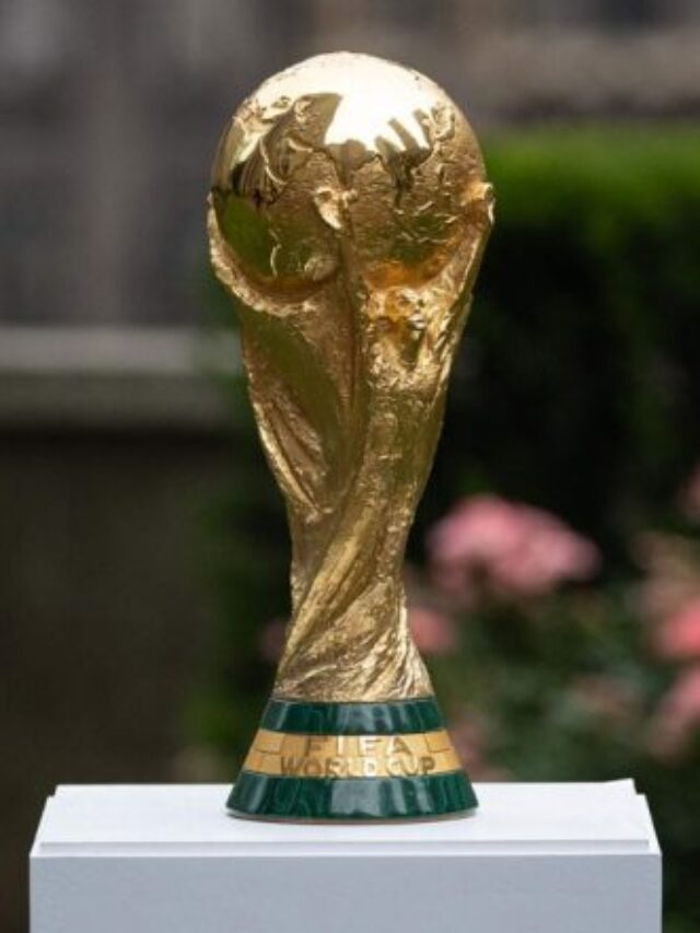 FIFA World Cup 2022 : 5 टीम जो सबको चौंका सकती है .