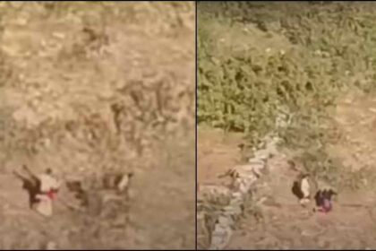 leopard attack on woman in almora video