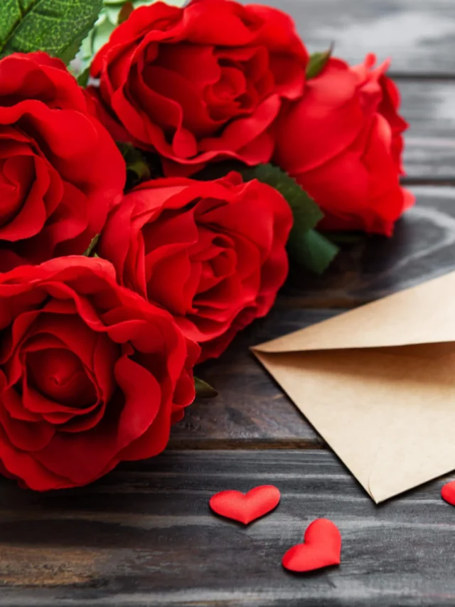 Valentines Day 2023 Wishes भेजें ये प्यार भरे मैसेज
