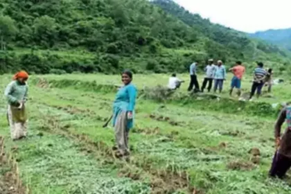 Aroma Valleys Develop in Uttarakhand : उत्तराखंड फसलों को सुरक्षित रखने के लिए 6 'सुगंध घाटियों' को विकसित करेगा।