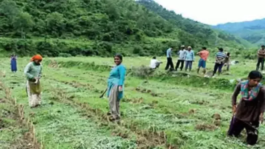 Aroma Valleys Develop in Uttarakhand : उत्तराखंड फसलों को सुरक्षित रखने के लिए 6 'सुगंध घाटियों' को विकसित करेगा।