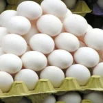 Check NECC Egg Rate Today भारत के विभिन्न शहर में क्या है ?