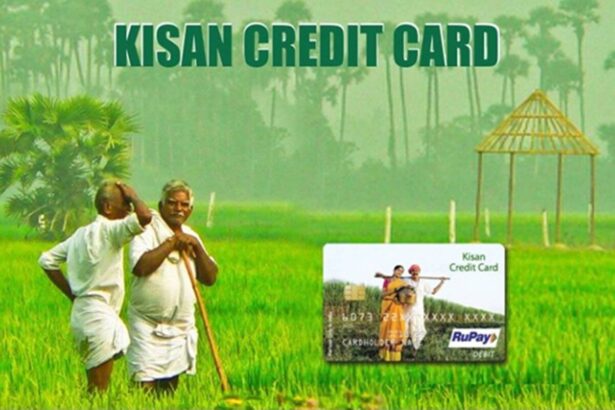 मोदी सरकार के 9 साल: किसान क्रेडिट कार्ड योजना से न केवल किसानों बल्कि खेतिहर मजदूरों को भी फायदा हो रहा है।
