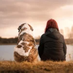 Animal Registration NOC : कॉलोनियों में कुत्ते प्रेमियों के लिए चिंताजनक खबर