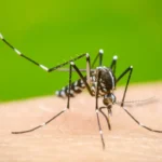 Dengue Alert Dehradun : Dengue Outbreak Prompts Urgent Response in Dehradun, Uttarakhand.