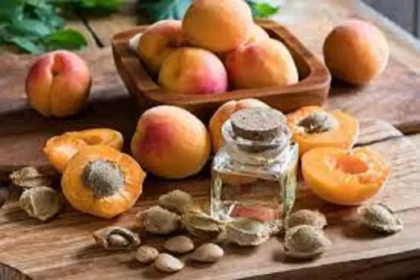 Lucrative Business Idea 2023 Apricot Oil Processing Unit