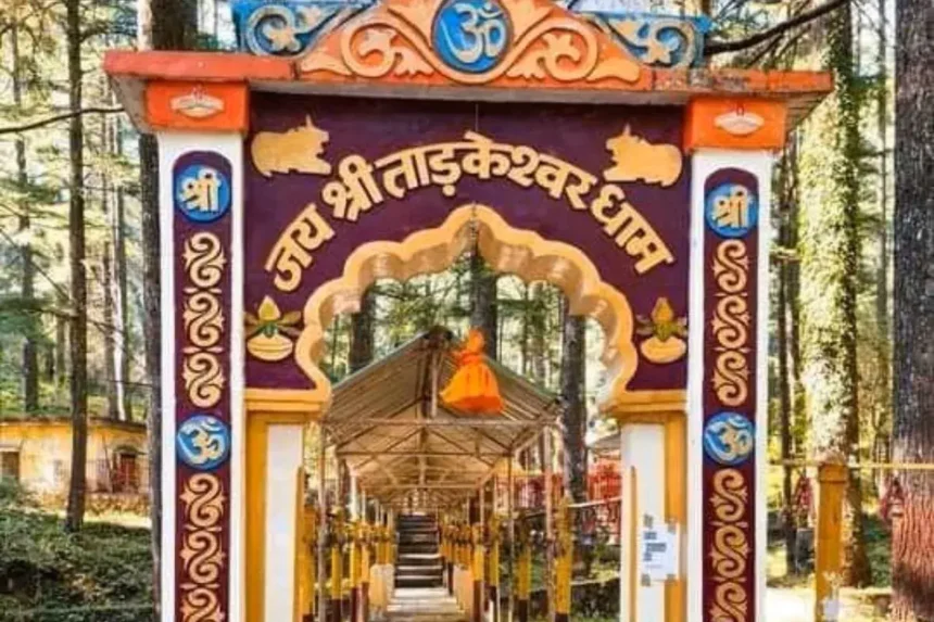 उत्तराखंड में Tarkeshwar Mahadev Temple के दर्शन करें।