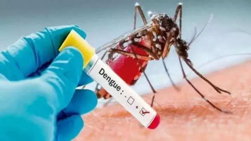 स्वास्थ्य सचिव डॉ. आर. राजेश कुमार ने डेंगू और चिकनगुनिया की रोकथाम के लिए 20 सूत्री दिशानिर्देश जारी किए।