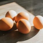 Todays Egg Price in Uttarakhand : उत्तराखंड में एनईसीसी टुडे अंडे की कीमत .