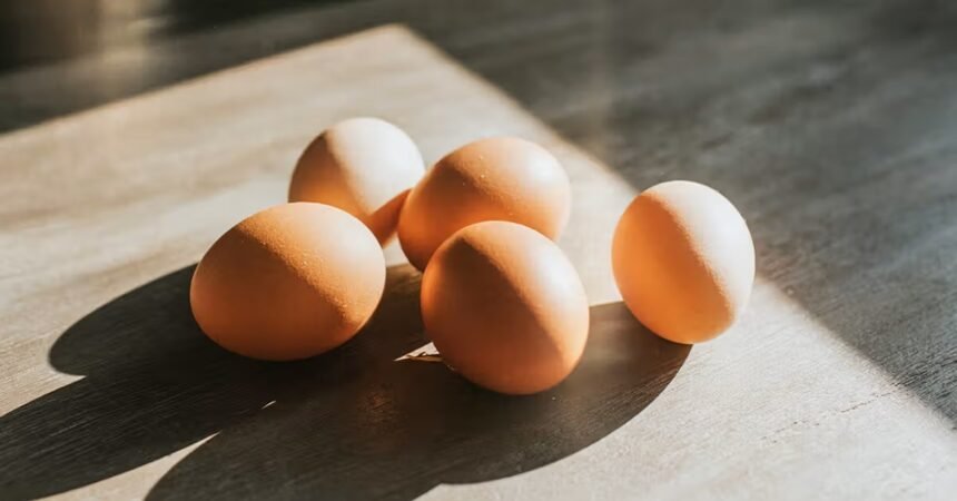 Todays Egg Price in Uttarakhand : उत्तराखंड में एनईसीसी टुडे अंडे की कीमत .