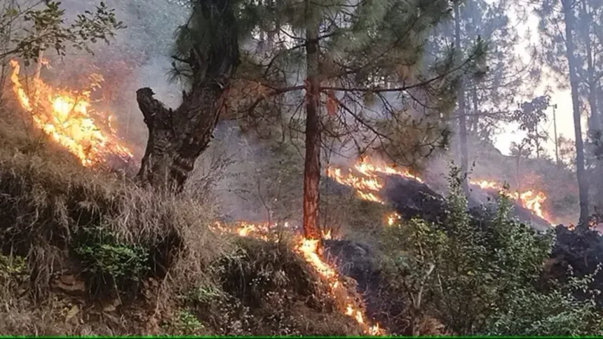 उत्तराखंड में जंगल की आग से जूझते हुए: एनडीआरएफ नैनीताल में प्रयासों में शामिल हुआ.