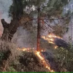 Uttarakhand Forests Fire News : गर्मी बढ़ने से बढ़ रही है वनाग्नि की घटनाएं.