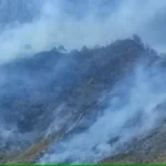 Uttarakhand News : जंगलों की आग उत्तराखंड के पहाड़ी इलाकों में पहुंच रही है नुकसान.