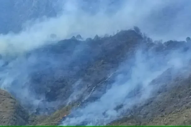 Forest Fire Concerns in Uttarakhand : मुख्यमंत्री का कार्यक्रम बदला, आज देहरादून में समीक्षा बैठक.