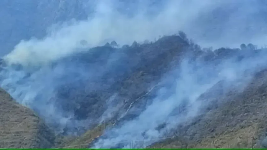 Uttarakhand News : जंगलों की आग उत्तराखंड के पहाड़ी इलाकों में पहुंच रही है नुकसान.