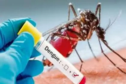 उत्तराखंड समाचार: डेंगू रोकथाम नियमों का पालन न करने पर जुर्माना लगेगा.
