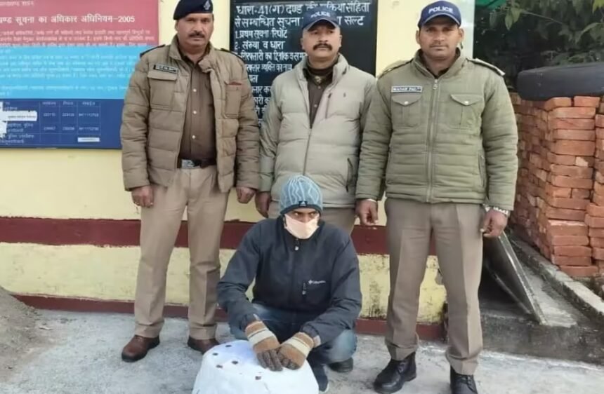 Salt Police caught the accused who was smuggling ganja by hiding it in an egg basket.